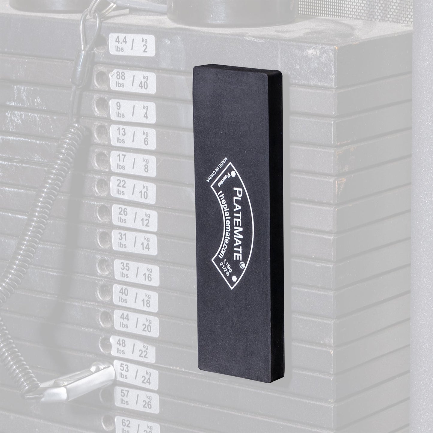 2.5 lb Brick - The Recovery Outlet