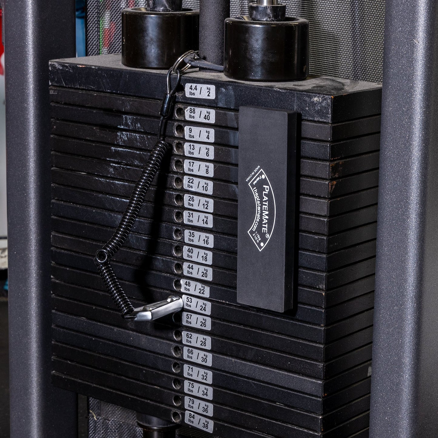2.5 lb Brick - The Recovery Outlet