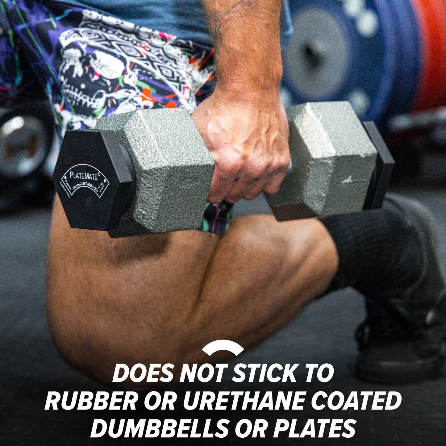 2.5 lb Hex PlateMate (Pair) - The Recovery Outlet