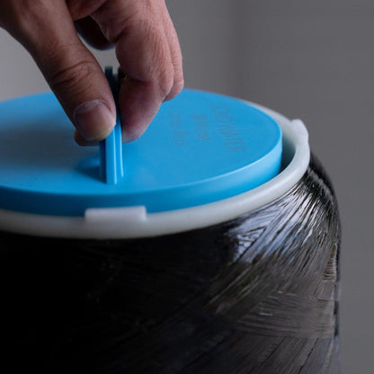 ECHO Whole Home water filter Essential tier chlorine removal
