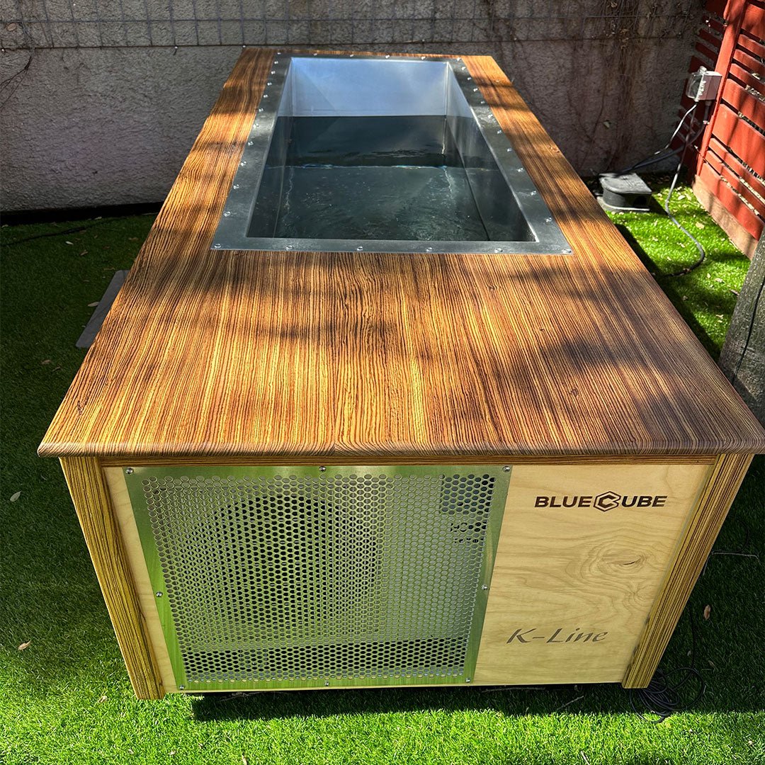 BlueCube In - Line 60 Custom Cold Plunge - The Recovery Outlet