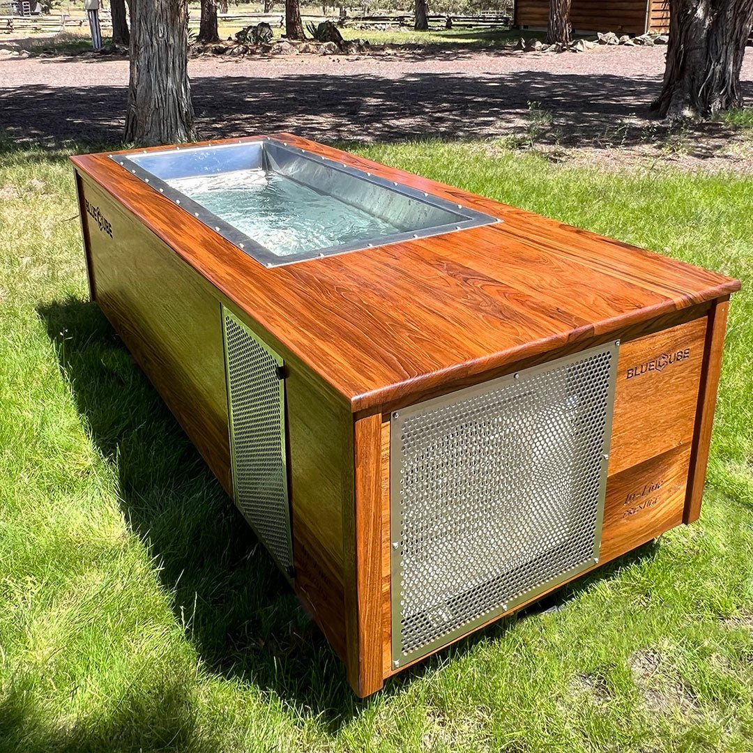 BlueCube In - Line 60 Custom Cold Plunge - The Recovery Outlet