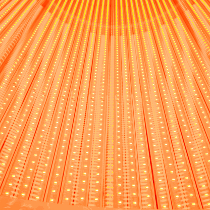 Close-up of illuminated red LED array on a red light recovery system bed panel for home and commercial use