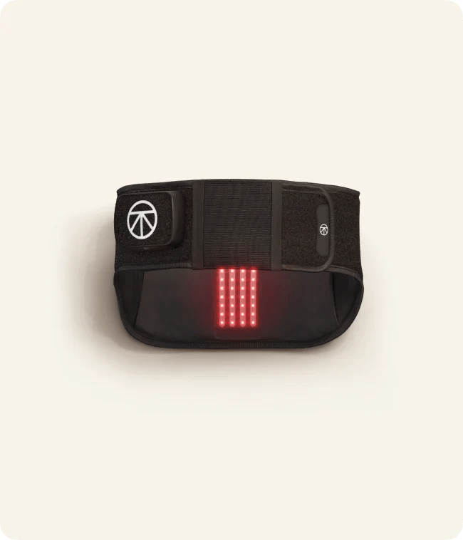 ThermBack LED - The Recovery Outlet
